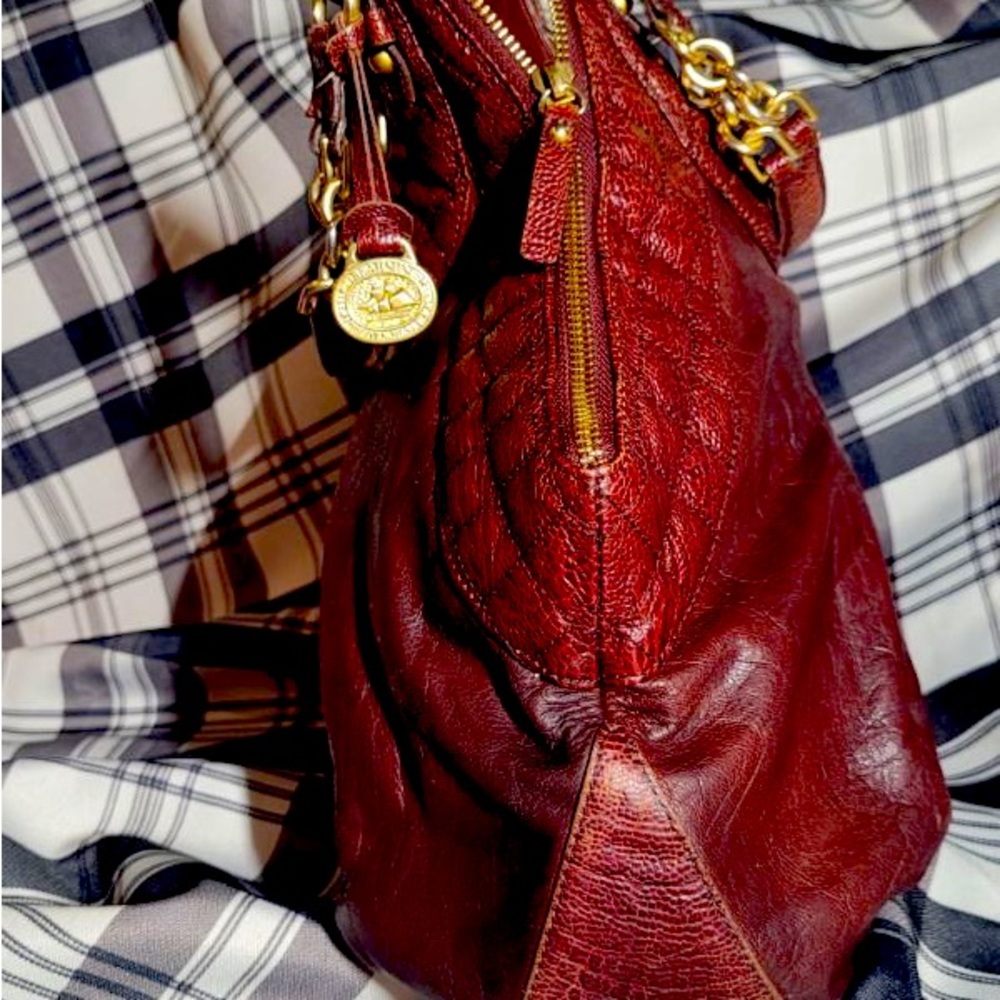 Brahmin - Picture 4 of 6
